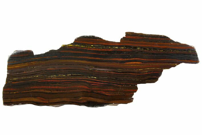 Polished Tiger Iron Stromatolite Slab - Billion Years #161888